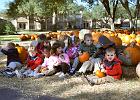 Pumpkin Patch Field Trip